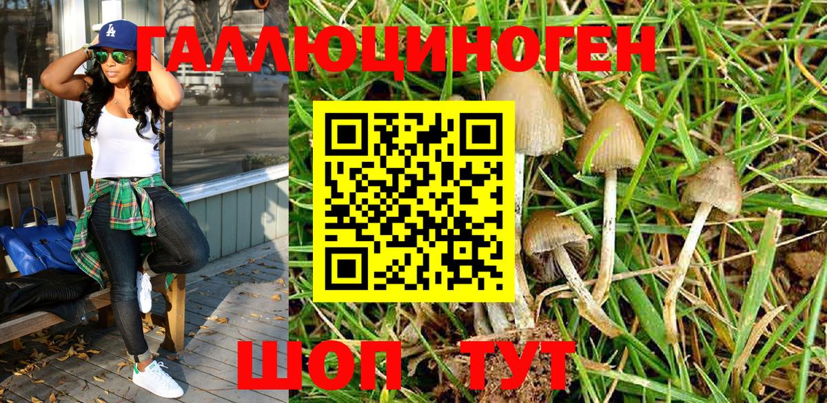 Псилоцибиновые грибы Cubensis  Псилоцибиновые грибы Psilocybe  Сосновый Бор  Вход с VPN 